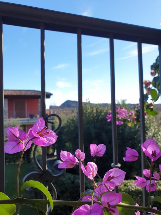 La Fenice Holiday Apartment Manerba del Garda Zewnętrze zdjęcie