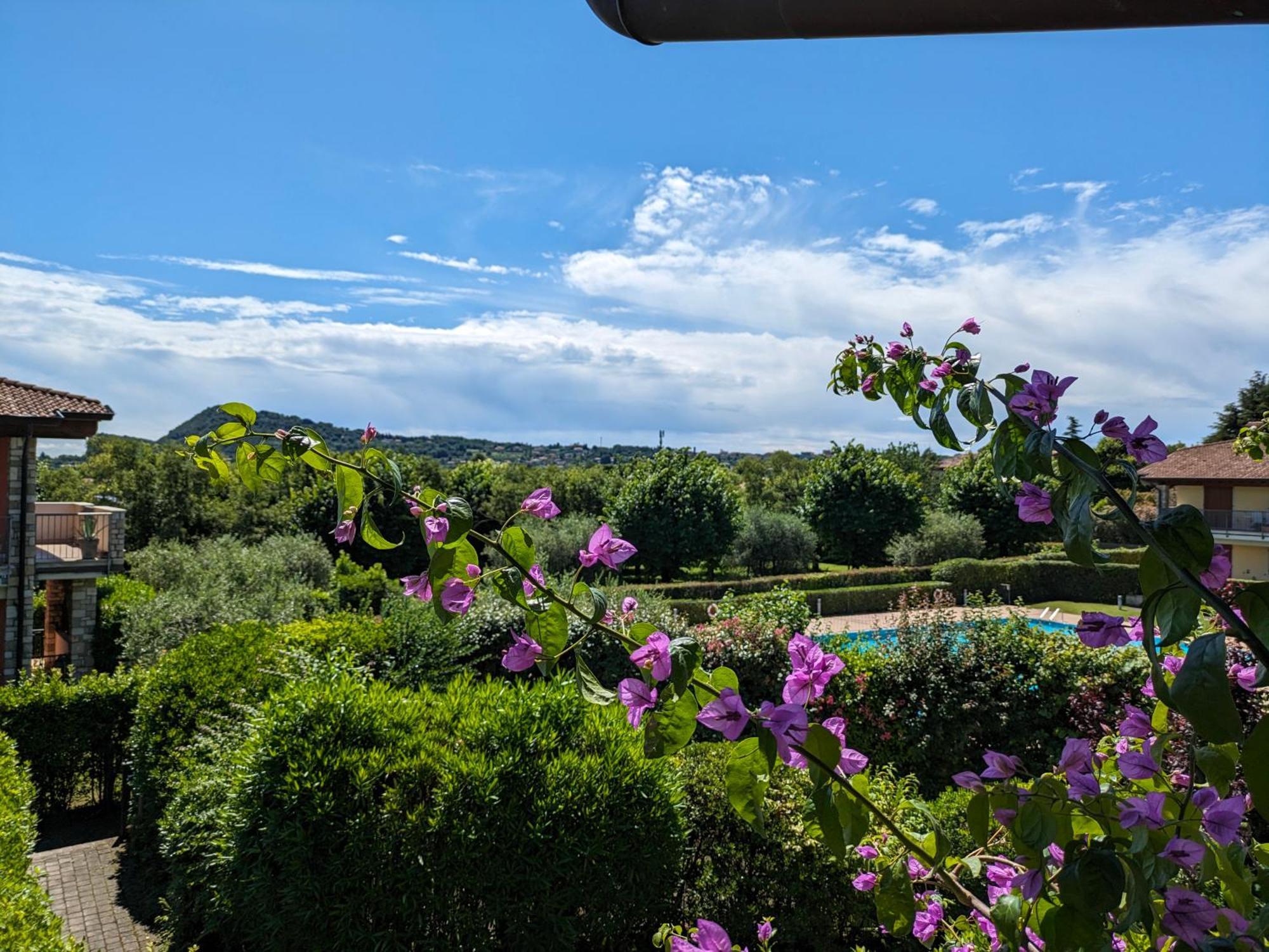 La Fenice Holiday Apartment Manerba del Garda Zewnętrze zdjęcie